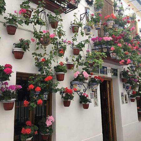 Apartamento Zoco 코르도바 외부 사진