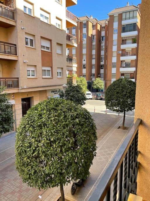 Apartamento Zoco 코르도바 외부 사진