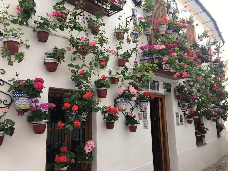 Apartamento Zoco 코르도바 외부 사진
